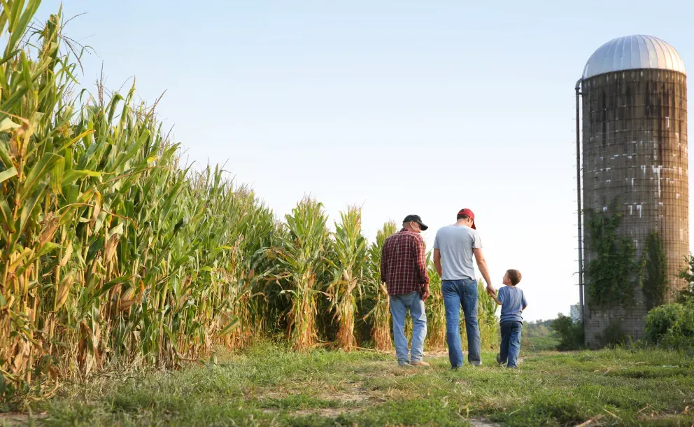 Family walking along a cornfield path toward a grain silo on a farm at dusk. Family walking along a cornfield path toward a grain silo on a farm at dusk.