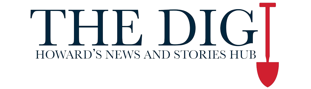 The Dig logo The Dig logo