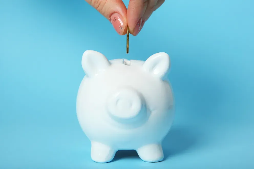 piggy bank piggy bank