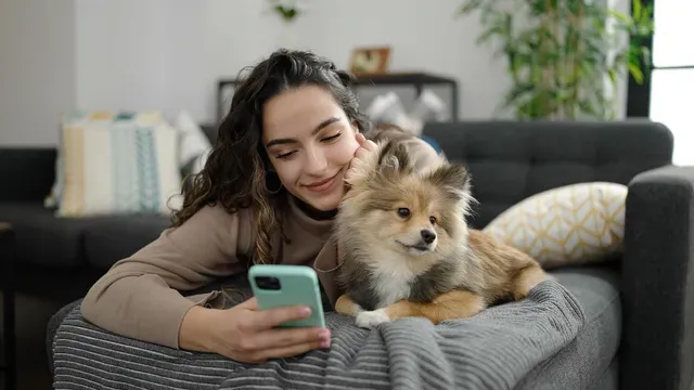 Woman texting on her mobile phone laying on sofa with dog Woman texting on her mobile phone laying on sofa with dog