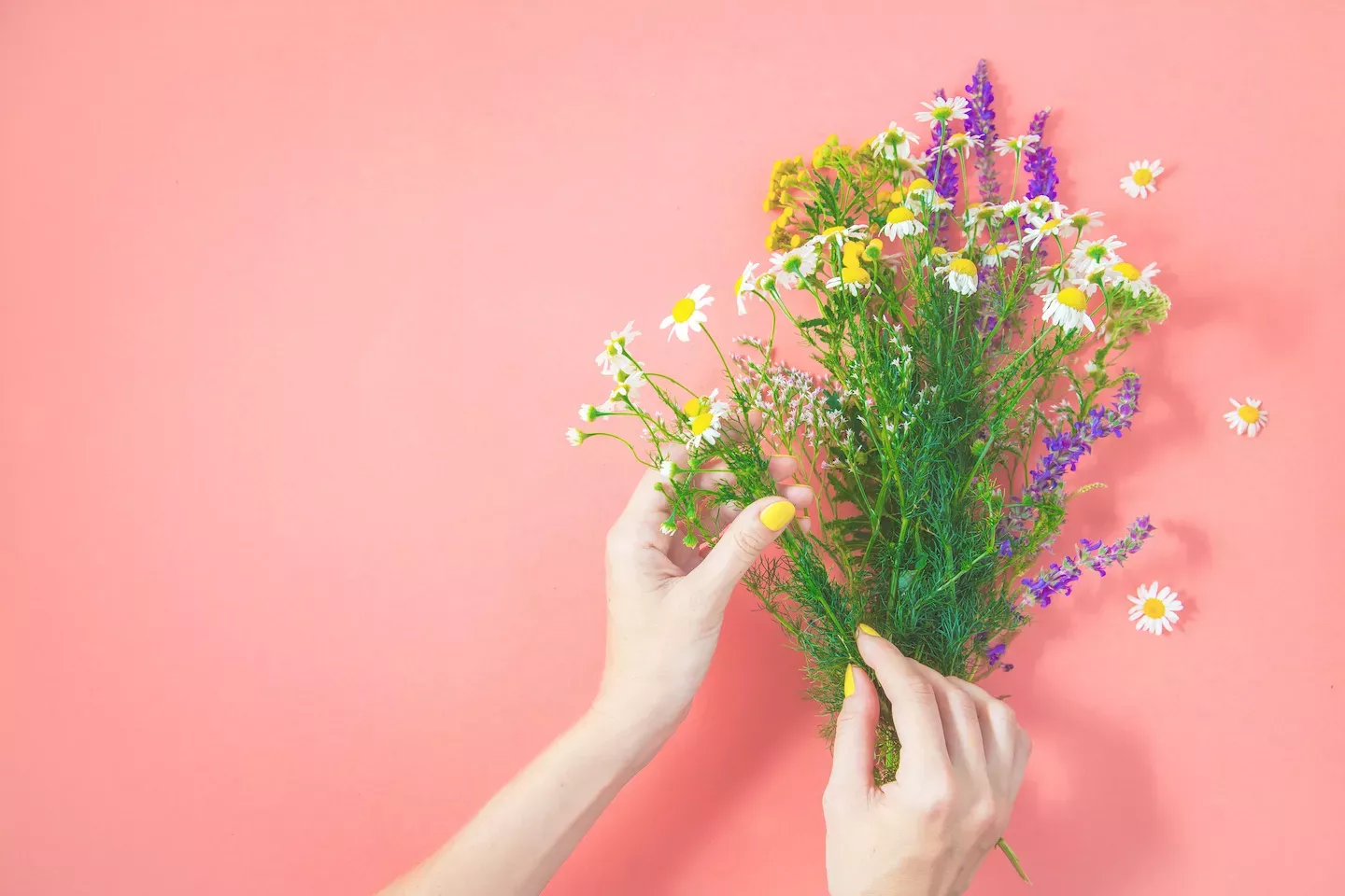 Collecting flowers Collecting flowers