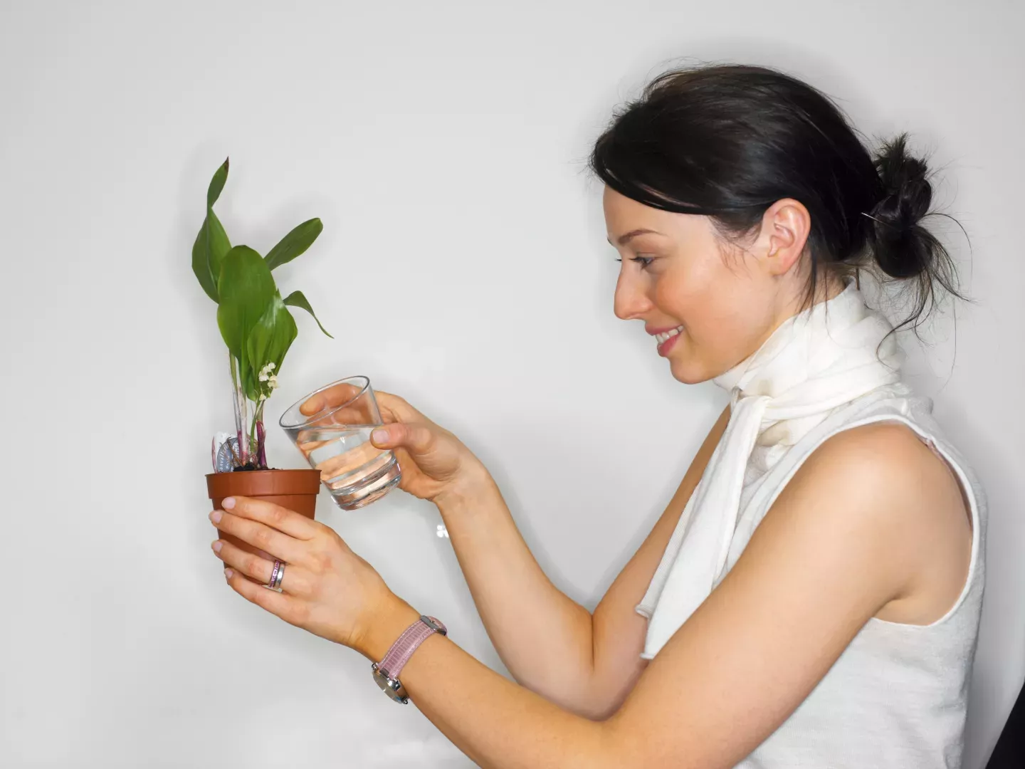 woman watering small plant woman watering small plant
